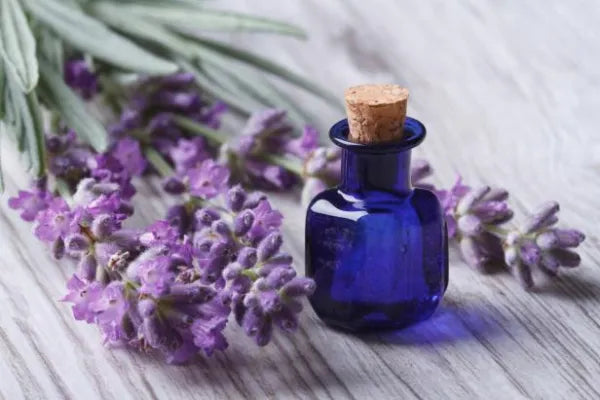 How to use essential oils as plant-based medicine to reverse disease and boost your energy